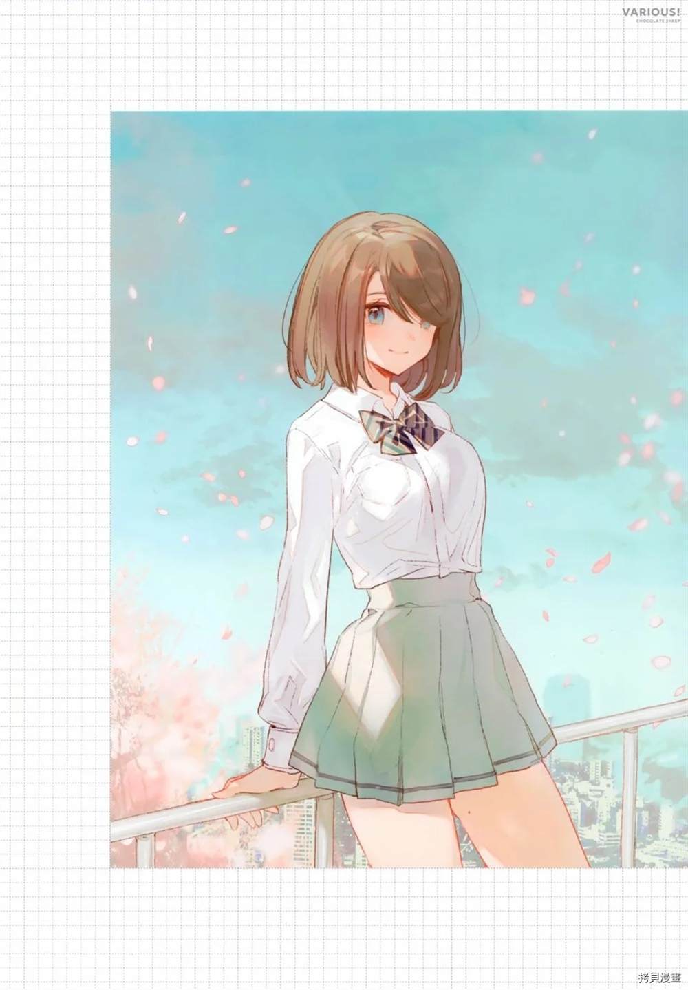 第17页