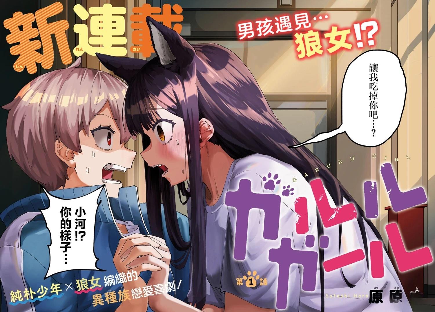 第3页